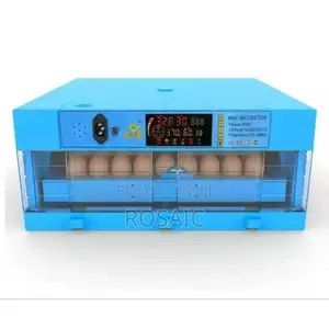 64 Eggs Incubator