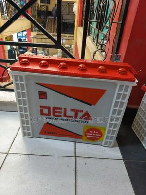DELTA 200ah 12V Tall Tubular Battery - thumbnail 2
