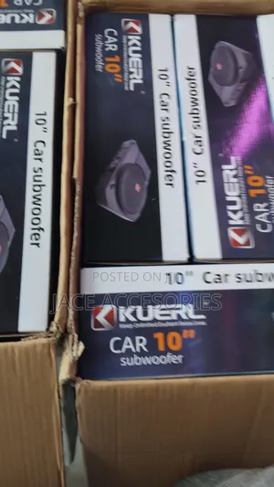 10' Kuerl Underseat Subwoofer