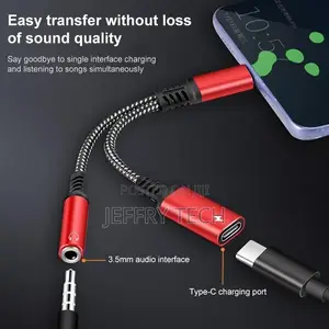 2 in 1 USB-C / Type-C Male to PD 60W USB-C / Type-C Charging