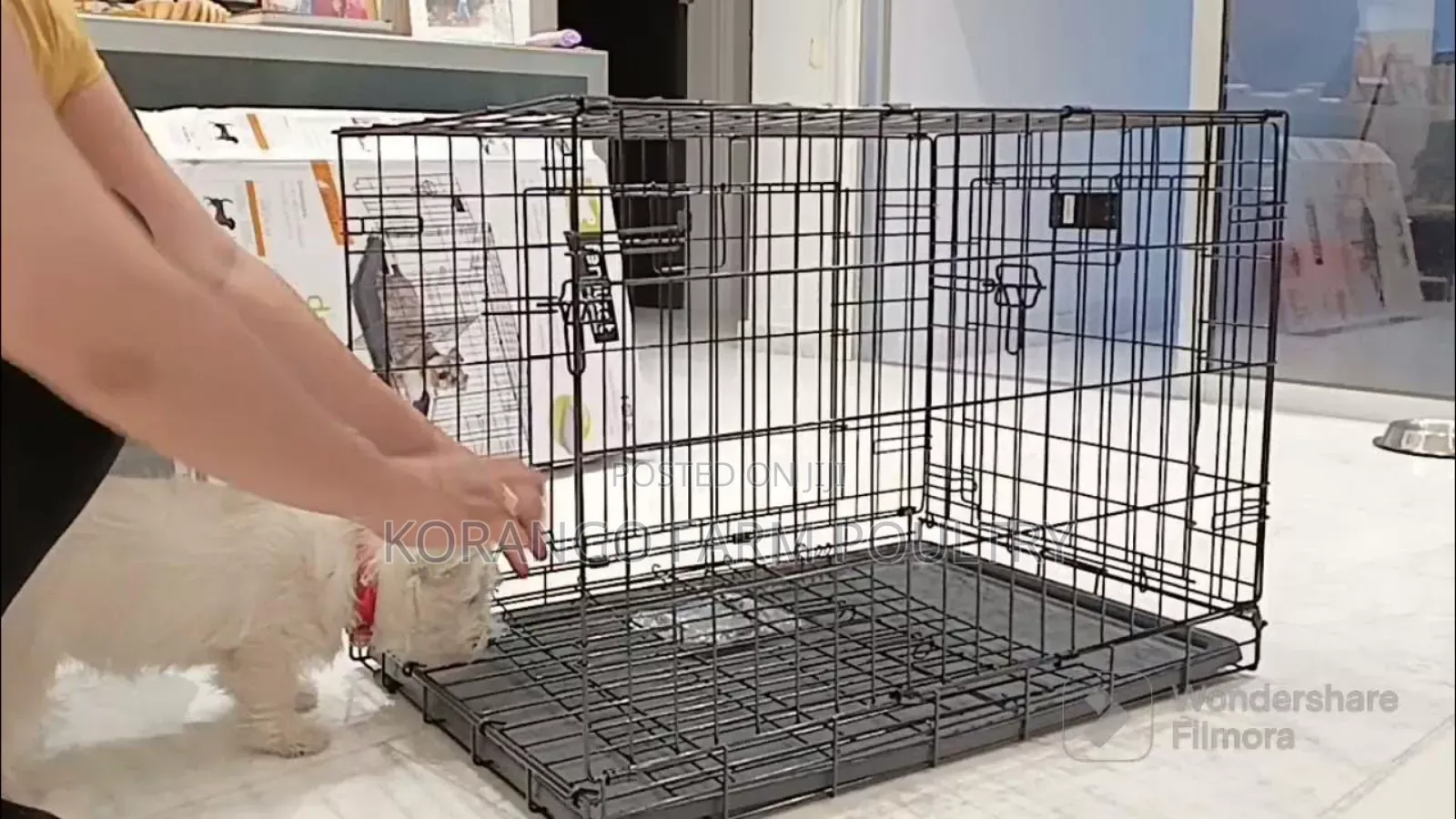 Metallic Dog Crates