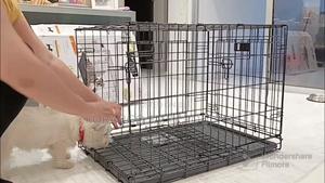 Metallic Dog Crates - thumbnail 2