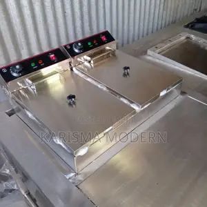 Stainless Steel Body Imported Deep Fryers