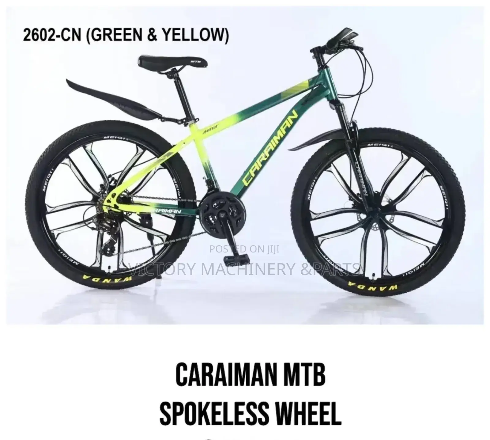 Caraiman MTB Spokeless Wheel