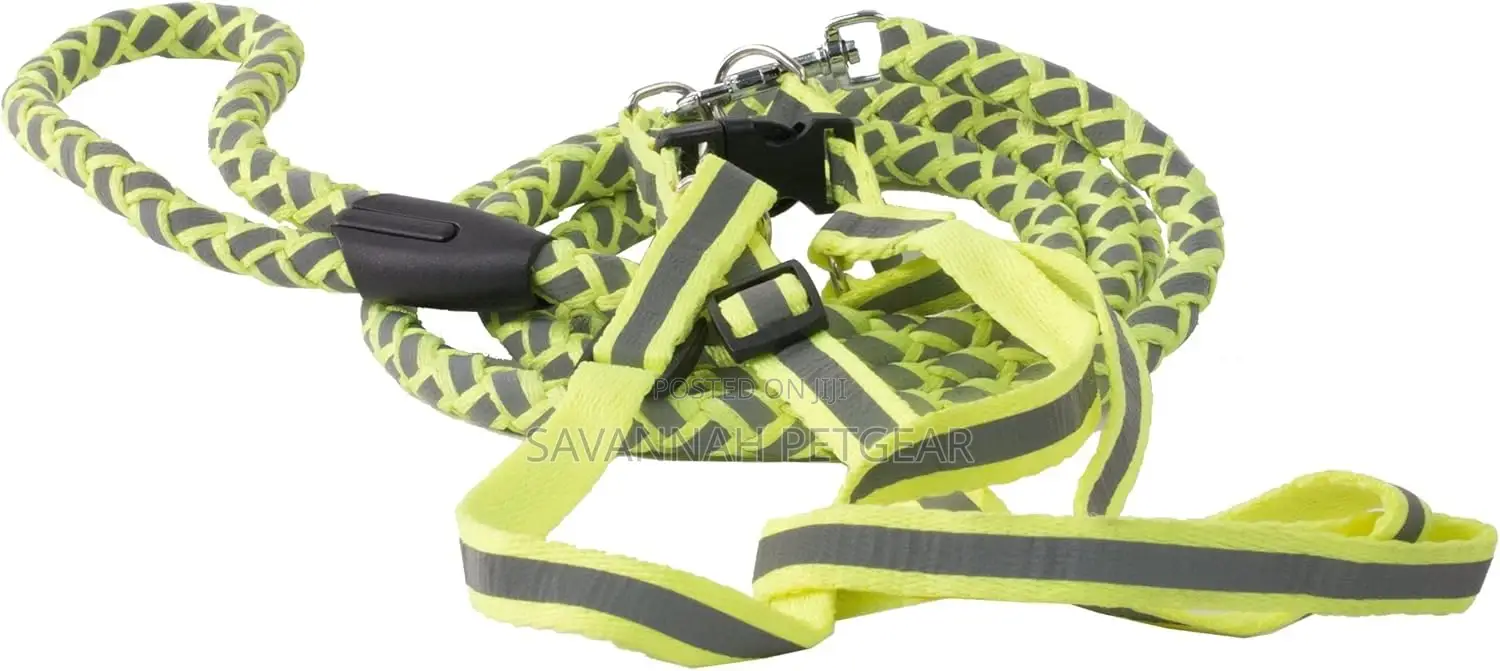 Reflective Stitched Adjustable 2-in-1 Leash and Harness