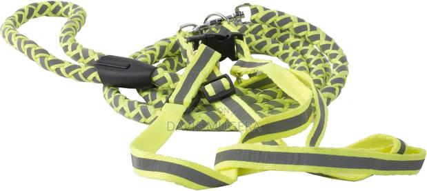 Reflective Stitched Adjustable 2-in-1 Leash and Harness - thumbnail 3