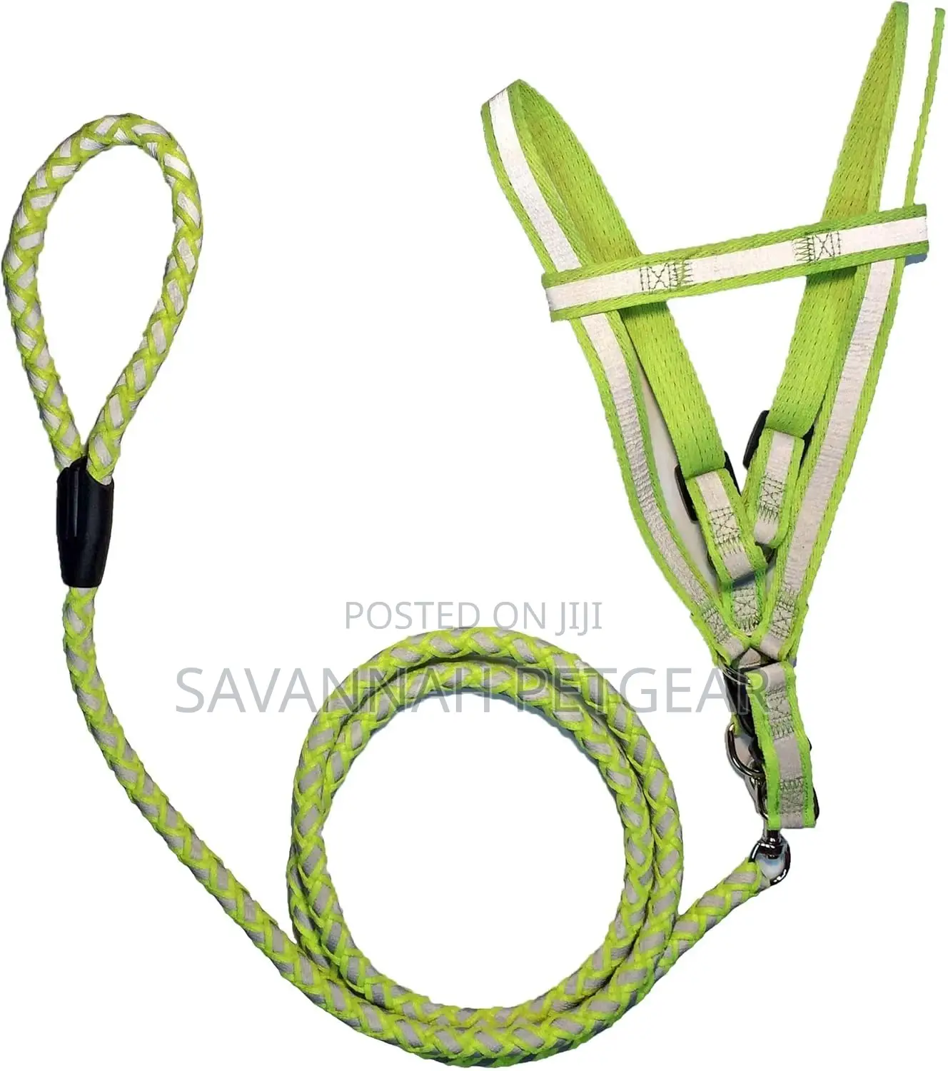 Reflective Stitched Adjustable 2-in-1 Leash and Harness