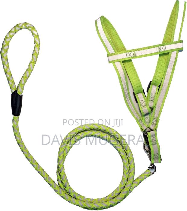 Reflective Stitched Adjustable 2-in-1 Leash and Harness - thumbnail 4