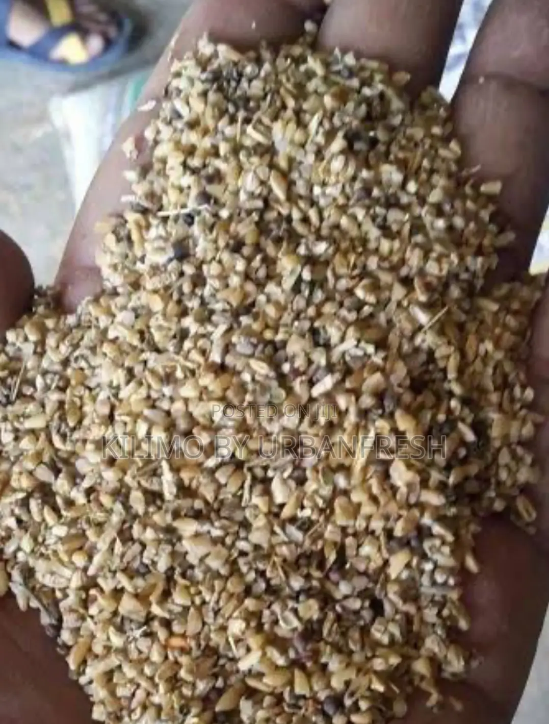 Broken Wheat Livestock Feed (50kgs)