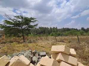 50 by 100 Plot in Ngong Kibiku for Sale 200mts From Tarmac