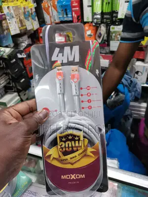 30 Watts Type C Data Cable - Type C (4m)