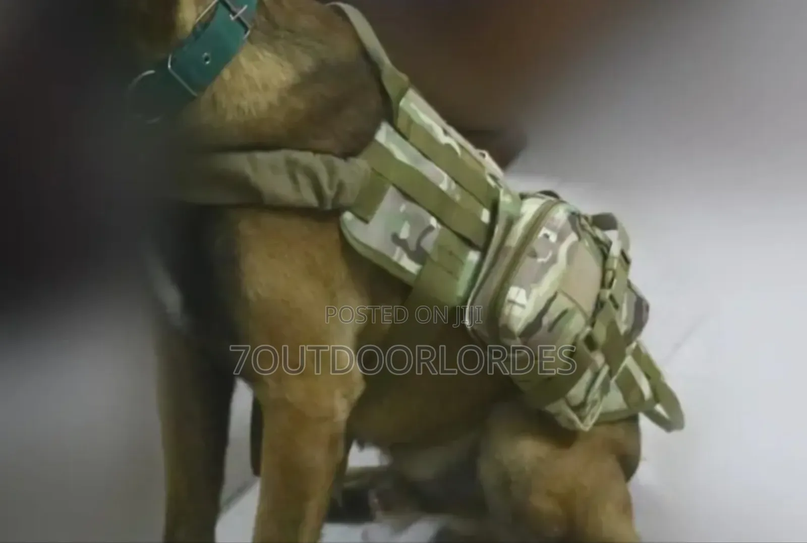 Dog Harness With Mole System