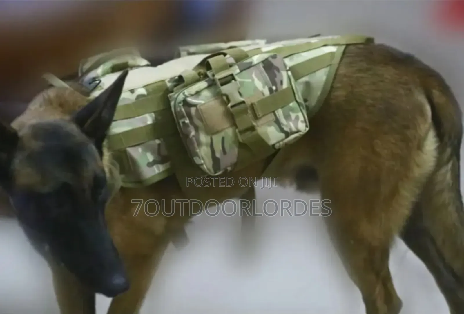 Dog Harness With Mole System