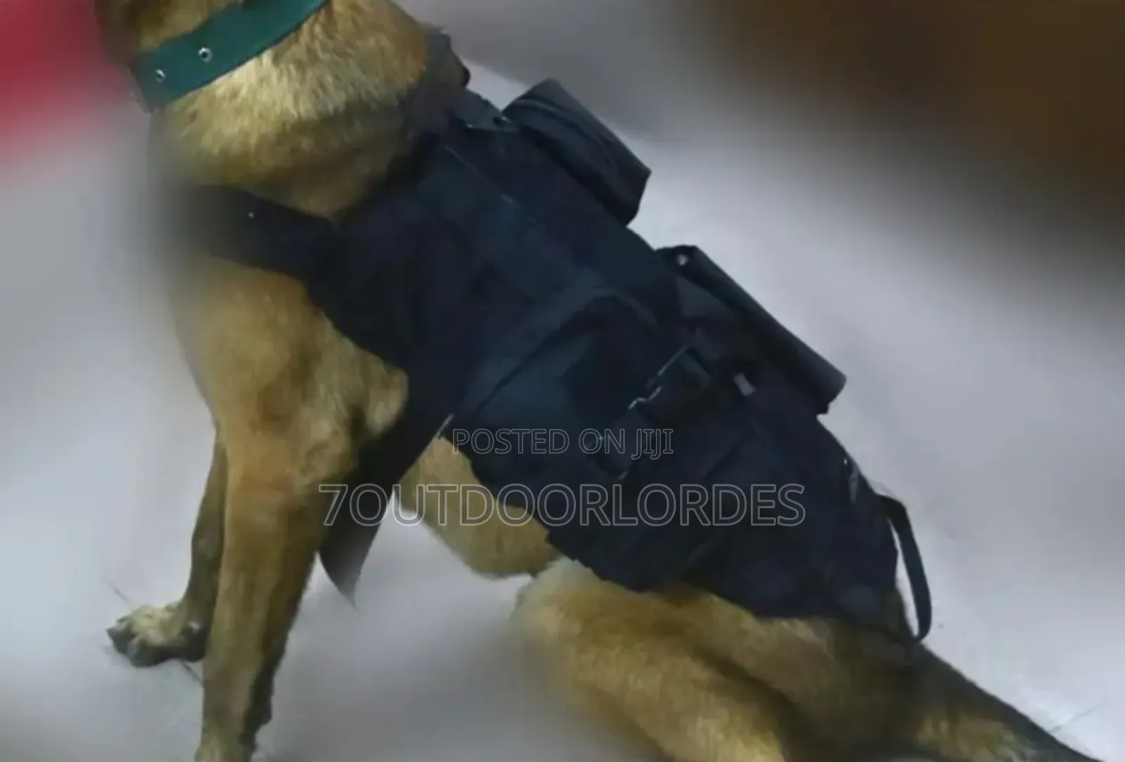 Dog Harness With Mole System