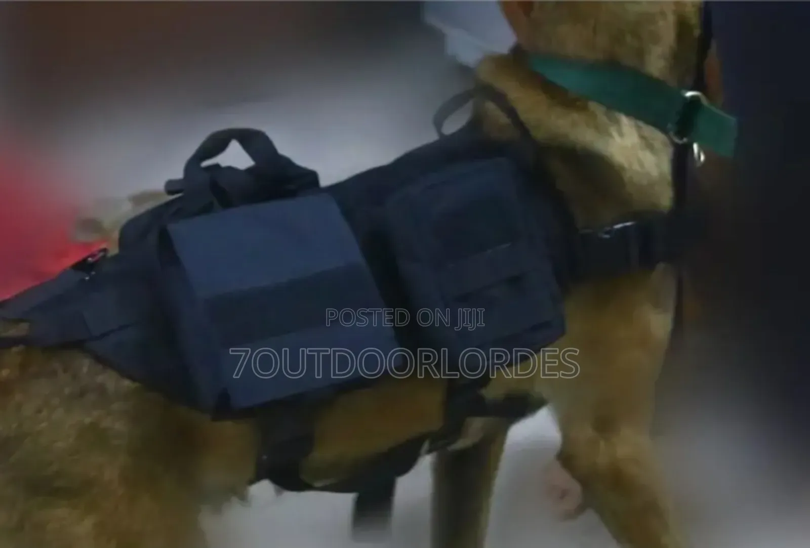 Dog Harness With Mole System