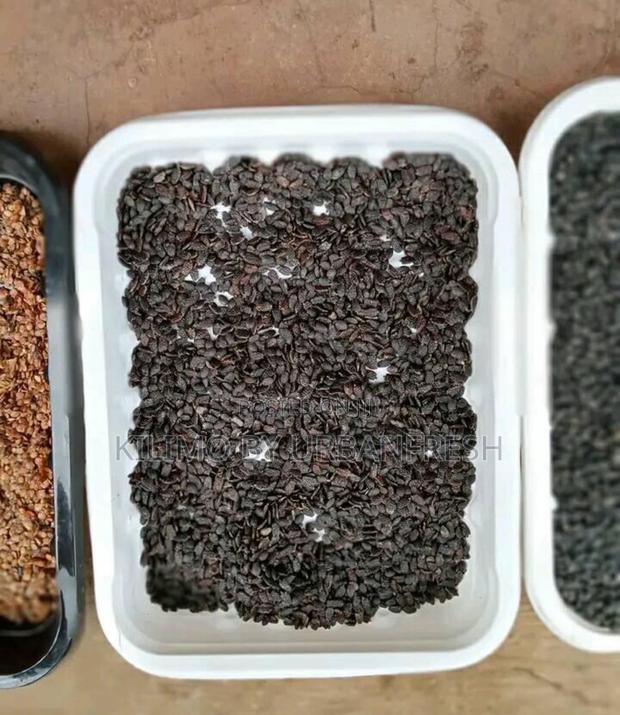 Indigenous and Exotic Tree Seeds 1 Kg. - main view