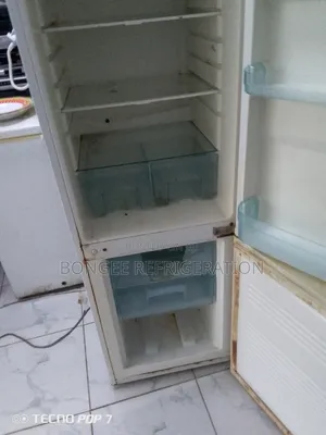 Fridge Repair