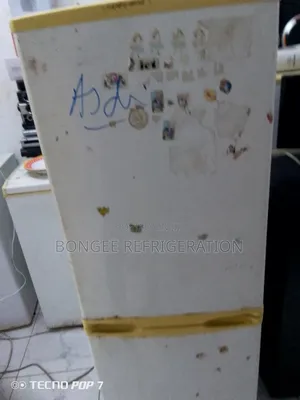 Fridge Repair