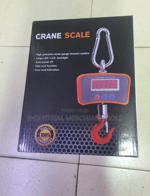 Accurate 500kgs Crane Scale - main view