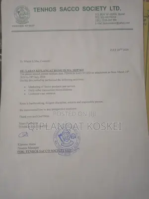 Sale Executive
