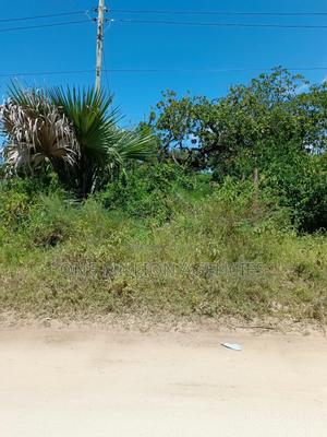 11 Acres in Dongo Kundu for Sale - main view