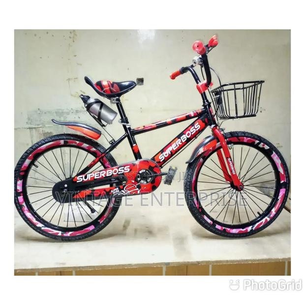 Size 20 Bicycle - main view