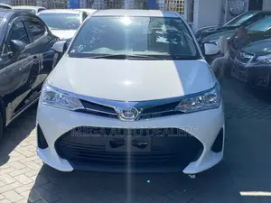 Toyota Axio 2018 Pearl
