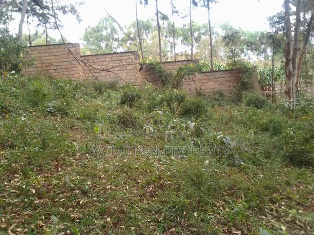 Prime 0.5 Acre Land in a Developed Area Muthiga - main view
