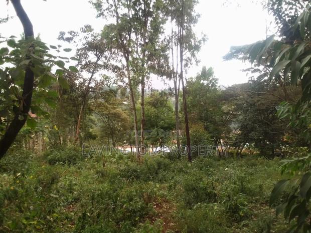 Prime 0.5 Acre Land in a Developed Area Muthiga - thumbnail 3