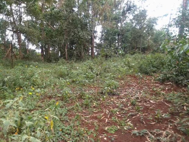 Prime 0.5 Acre Land in a Developed Area Muthiga - thumbnail 4