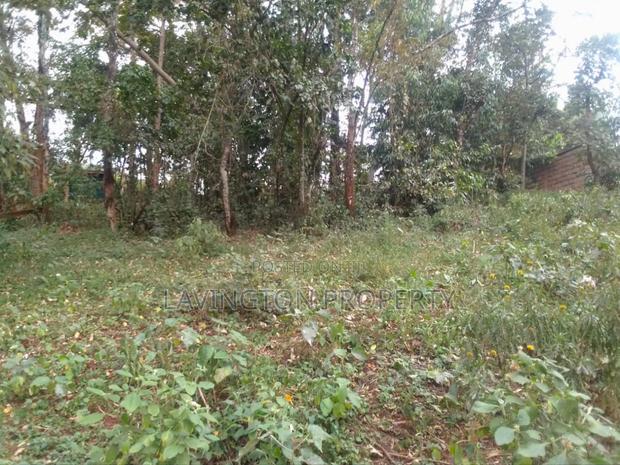 Prime 0.5 Acre Land in a Developed Area Muthiga - thumbnail 5