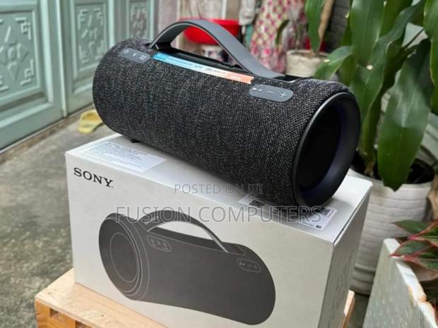 Sony XG300 X-series Portable Wireless Speaker