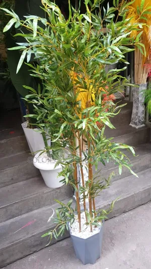 Long Bamboo Sticks With Vase and Pebble Stones