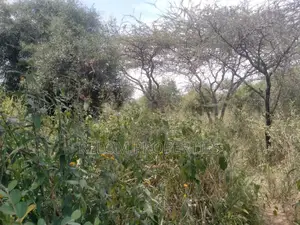 10.6 Acre Land for Sale in Salama 300m Off Mombasa Rd