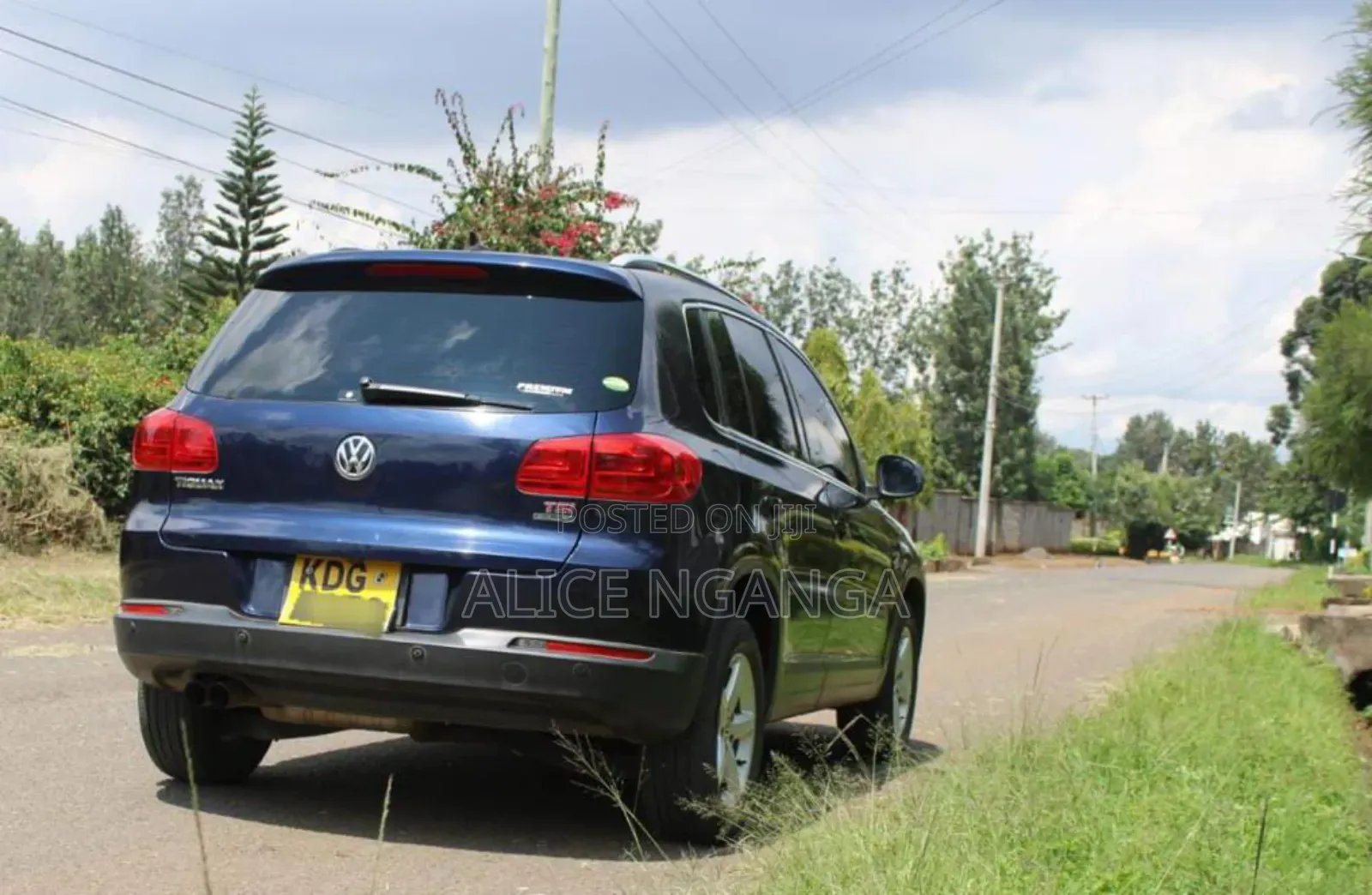 Volkswagen Tiguan 2014 Blue