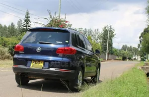 Volkswagen Tiguan 2014 Blue