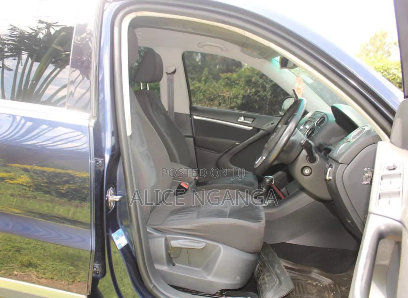 Volkswagen Tiguan 2014 Blue