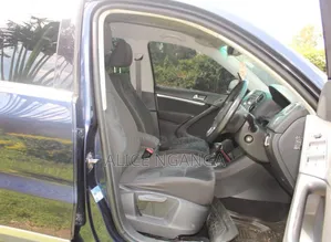 Volkswagen Tiguan 2014 Blue