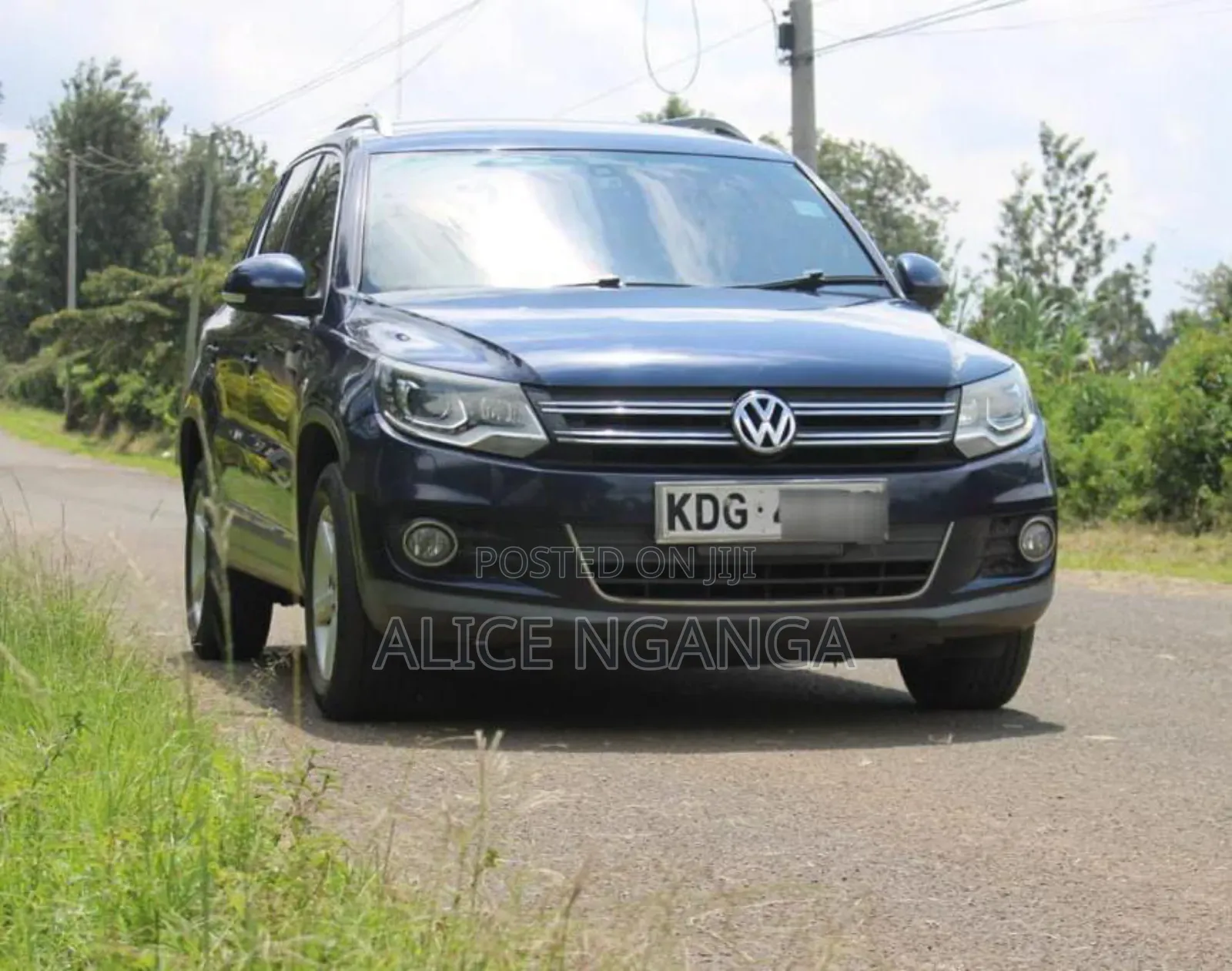 Volkswagen Tiguan 2014 Blue