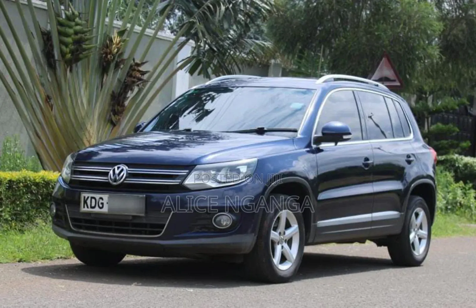 Volkswagen Tiguan 2014 Blue