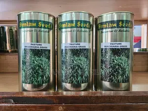 BRACHIARIA HYBRID GRASS - 1 Kg