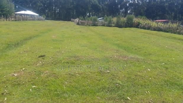 Prime 50 by 100 Residential Plots Offered for Sale.