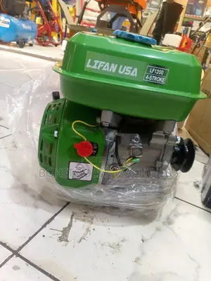 Lifan USA Petrol Engine 10HP
