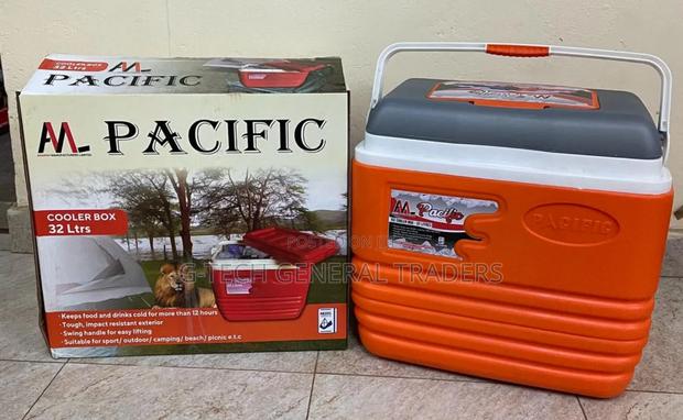 Cooler Box for Ice Cream and Ice 32l