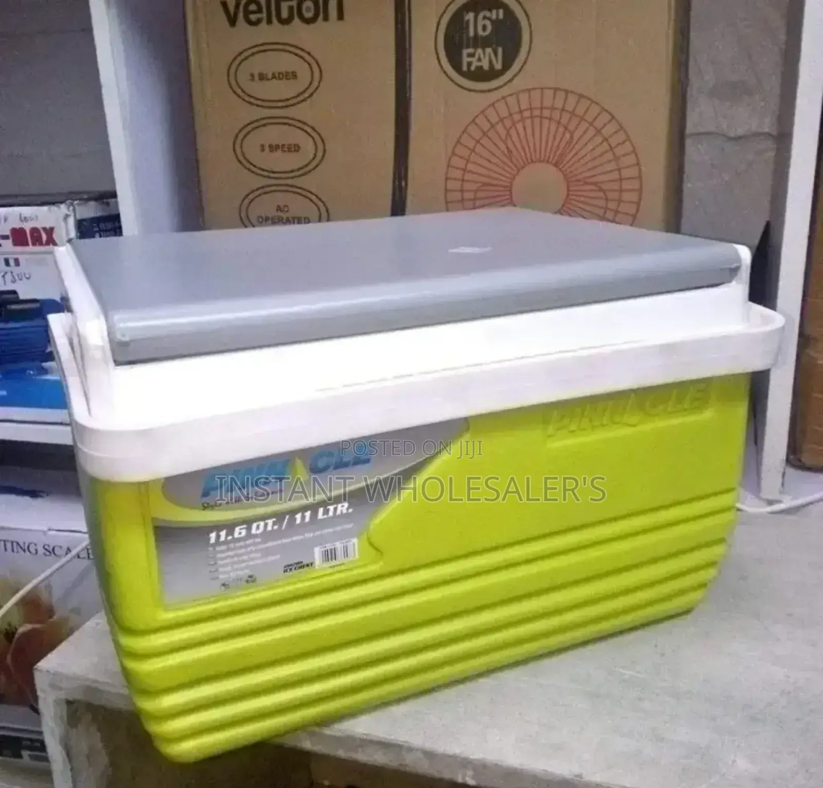 Pinnacle 11 Litres Cooler Box