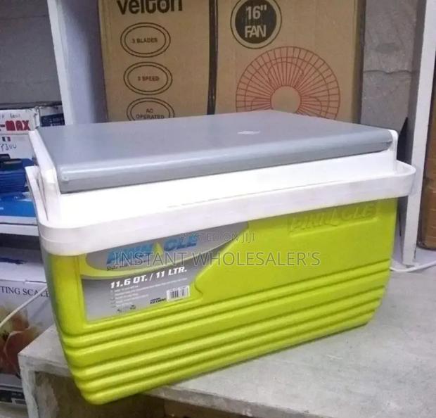 Pinnacle 11 Litres Cooler Box