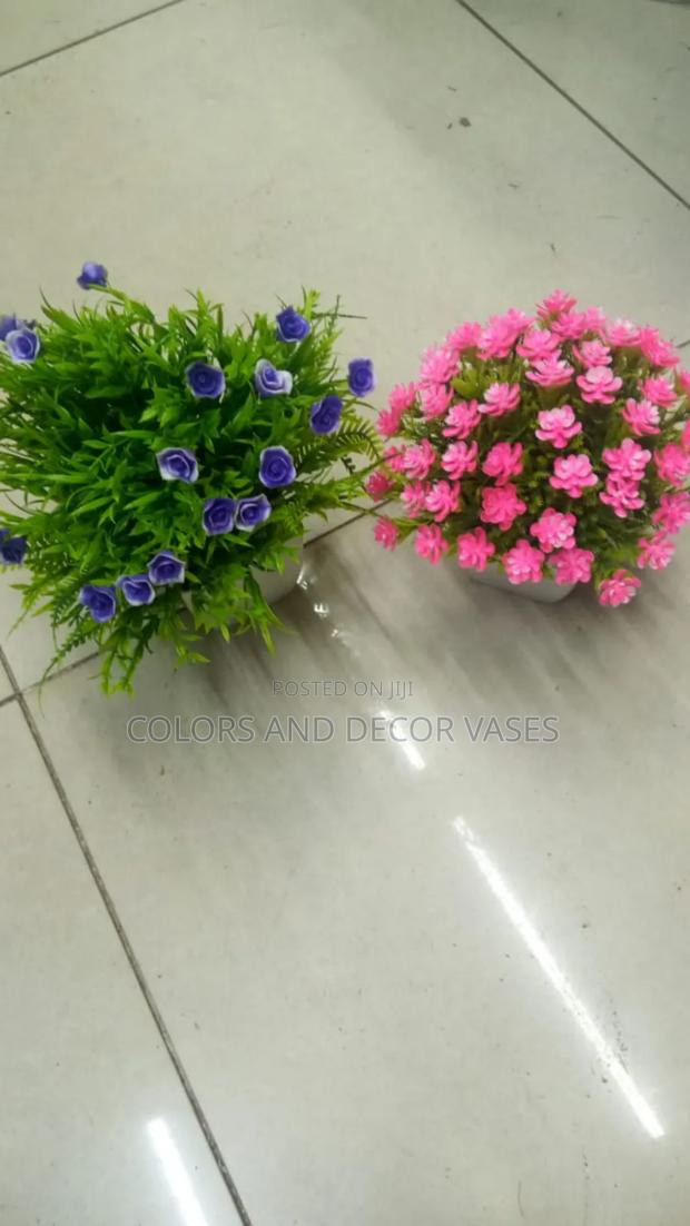 Bonsai Artificial in Various Colours - main view