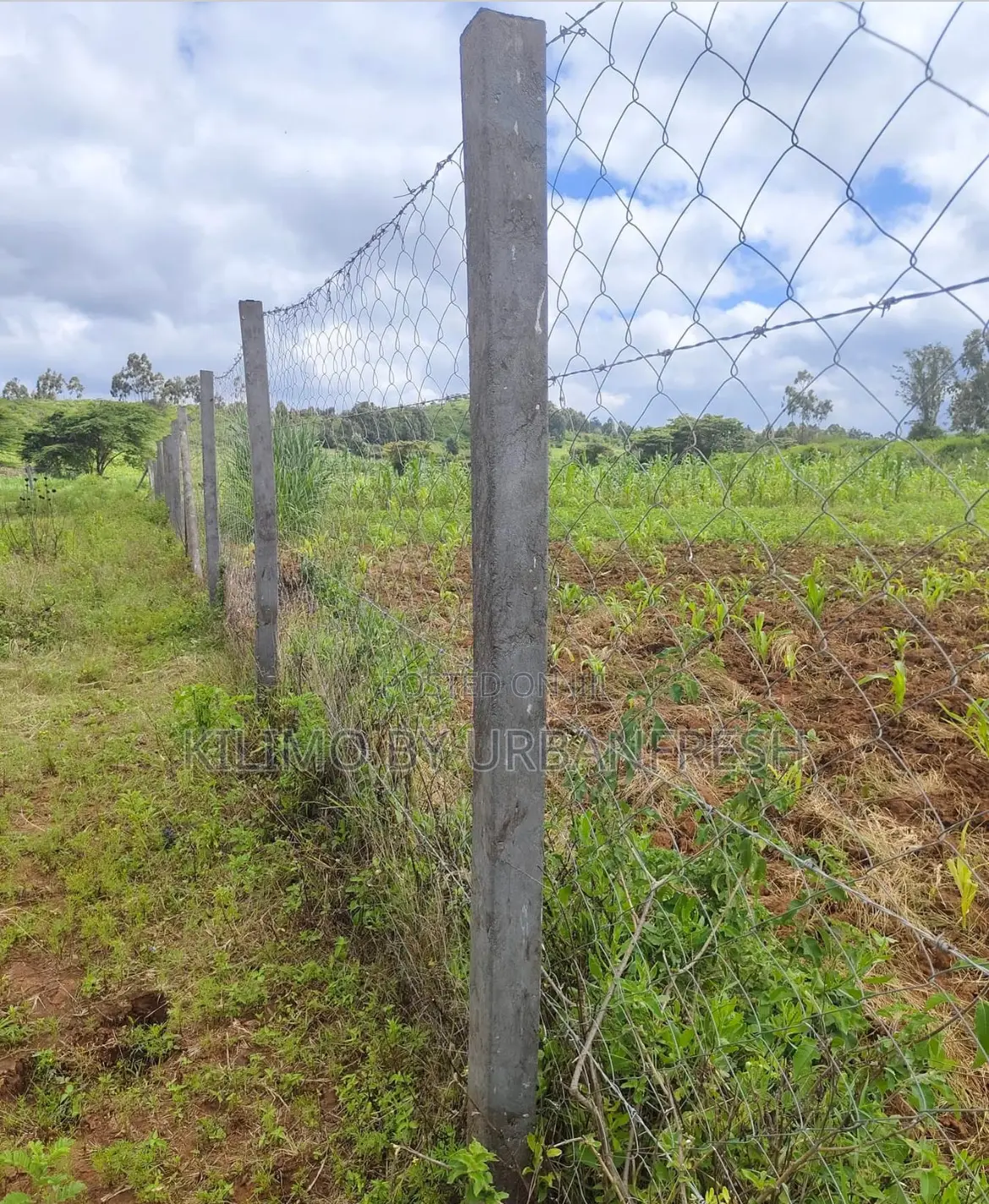 Plastic Poles: Square : 7ft Height. 3.5”