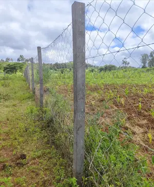 Plastic Poles: Square : 7ft Height. 3.5”