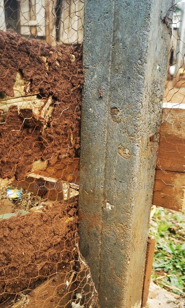 Plastic Poles / Slabs and Plastic Furnitures. - thumbnail 6